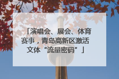 演唱会、展会、体育赛事，青岛高新区激活文体“流量密码”