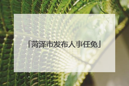 菏泽市发布人事任免