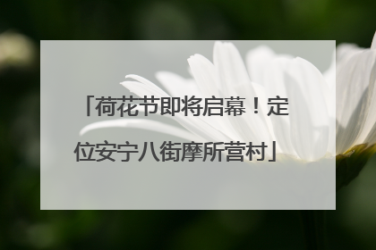 荷花节即将启幕！定位安宁八街摩所营村