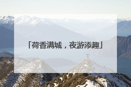 荷香满城，夜游添趣