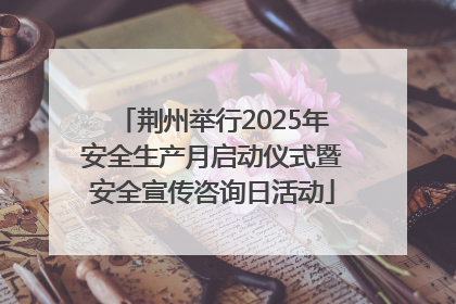 荆州举行2025年安全生产月启动仪式暨安全宣传咨询日活动