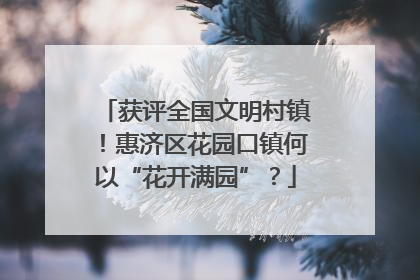 获评全国文明村镇！惠济区花园口镇何以“花开满园”？