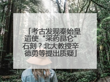考古发现秦始皇遣使“采药昆仑”石刻？北大教授辛德勇等提出质疑