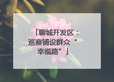 聊城开发区：巡察铺设群众“幸福路”