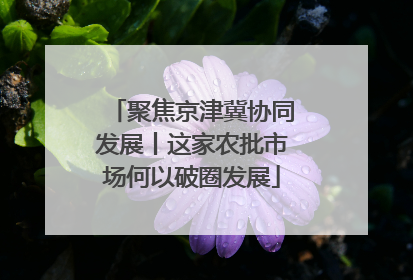 聚焦京津冀协同发展丨这家农批市场何以破圈发展