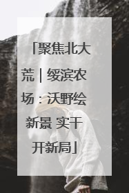 聚焦北大荒｜绥滨农场：沃野绘新景 实干开新局
