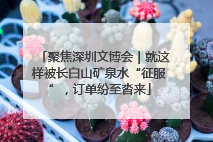 聚焦深圳文博会｜就这样被长白山矿泉水“征服”，订单纷至沓来