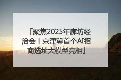 聚焦2025年廊坊经洽会丨京津冀首个AI招商选址大模型亮相