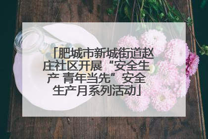 肥城市新城街道赵庄社区开展“安全生产 青年当先”安全生产月系列活动
