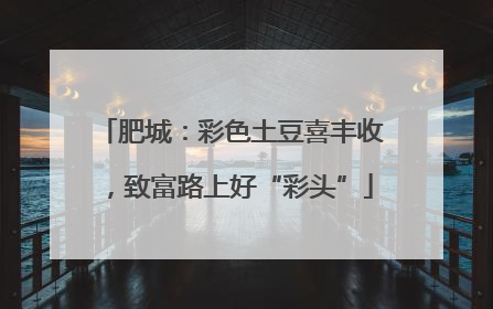 肥城：彩色土豆喜丰收，致富路上好“彩头”