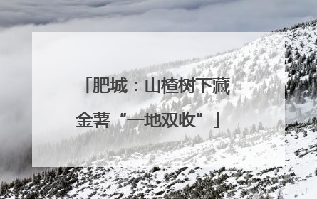 肥城：山楂树下藏金薯“一地双收”