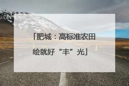 肥城：高标准农田绘就好“丰”光