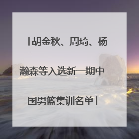 胡金秋、周琦、杨瀚森等入选新一期中国男篮集训名单