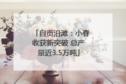 自贡沿滩：小春收获新突破 总产量近3.5万吨