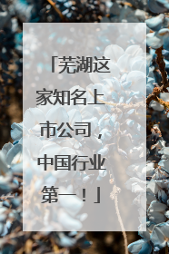 芜湖这家知名上市公司，中国行业第一！