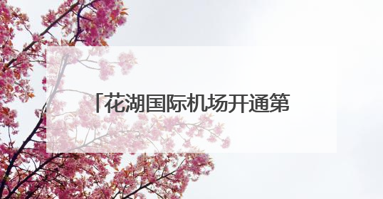 花湖国际机场开通第100条货运航线