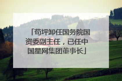 苟坪卸任国务院国资委副主任，已任中国星网集团董事长
