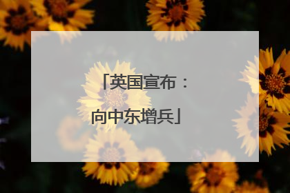 英国宣布：向中东增兵