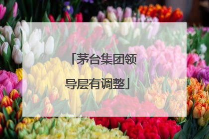 茅台集团领导层有调整
