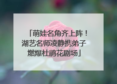 萌娃名角齐上阵！湖艺名师凌静携弟子燃爆杜鹃花剧场