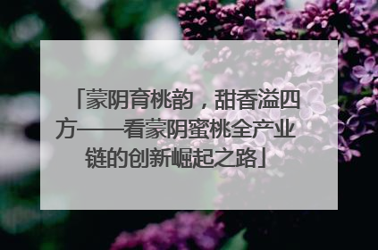 蒙阴育桃韵，甜香溢四方——看蒙阴蜜桃全产业链的创新崛起之路