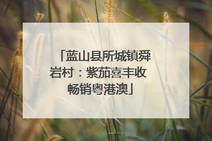 蓝山县所城镇舜岩村：紫茄喜丰收 畅销粤港澳