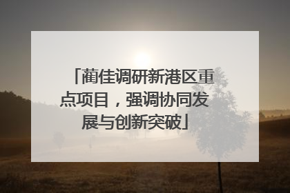蔺佳调研新港区重点项目，强调协同发展与创新突破