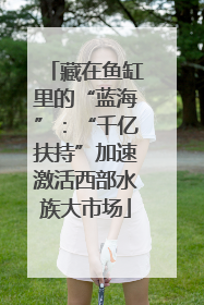 藏在鱼缸里的“蓝海”：“千亿扶持”加速激活西部水族大市场