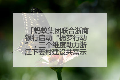 蚂蚁集团联合浙商银行启动“栀梦行动”，三个维度助力浙江下姜村建设共富示范区示范点