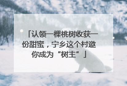 认领一棵桃树收获一份甜蜜，宁乡这个村邀你成为“树主”