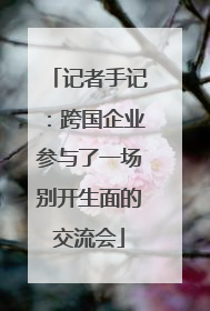 记者手记：跨国企业参与了一场别开生面的交流会