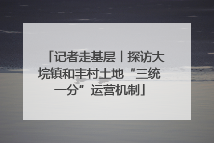 记者走基层丨探访大垸镇和丰村土地“三统一分”运营机制
