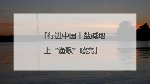 行进中国丨盐碱地上“渔歌”嘹亮