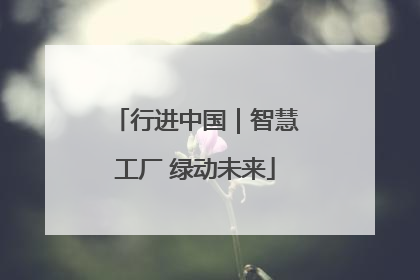 行进中国｜智慧工厂 绿动未来