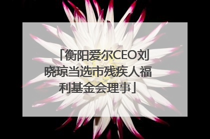 衡阳爱尔CEO刘晓琼当选市残疾人福利基金会理事