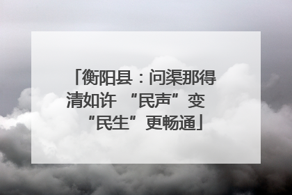 衡阳县：问渠那得清如许 “民声”变“民生”更畅通