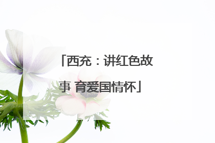 西充：讲红色故事 育爱国情怀