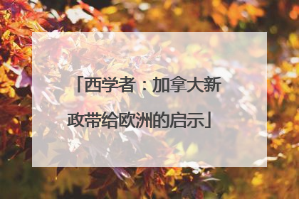 西学者：加拿大新政带给欧洲的启示