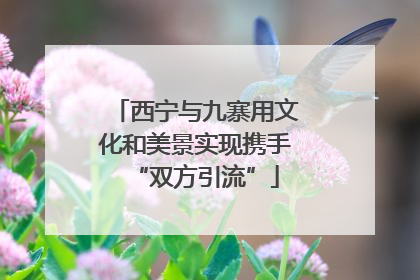 西宁与九寨用文化和美景实现携手“双方引流”