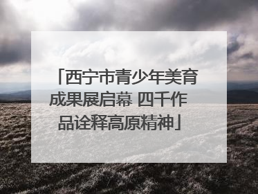 西宁市青少年美育成果展启幕 四千作品诠释高原精神