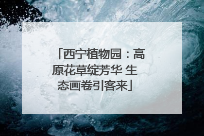 西宁植物园：高原花草绽芳华 生态画卷引客来