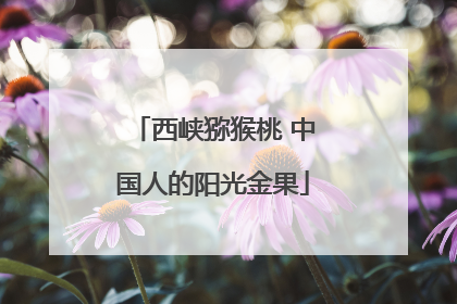 西峡猕猴桃 中国人的阳光金果