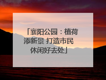 襄阳公园：植荷添新景 打造市民休闲好去处