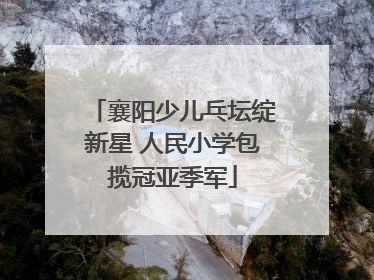 襄阳少儿乓坛绽新星 人民小学包揽冠亚季军
