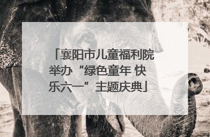 襄阳市儿童福利院举办“绿色童年 快乐六一”主题庆典