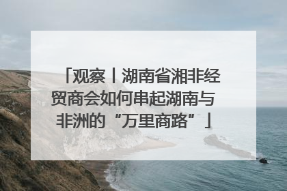 观察丨湖南省湘非经贸商会如何串起湖南与非洲的“万里商路”