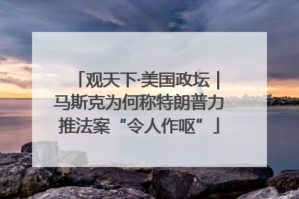 观天下·美国政坛｜马斯克为何称特朗普力推法案“令人作呕”