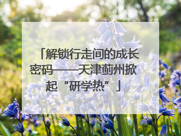 解锁行走间的成长密码——天津蓟州掀起“研学热”