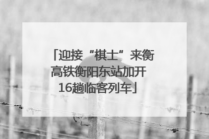 迎接“棋士”来衡 高铁衡阳东站加开16趟临客列车