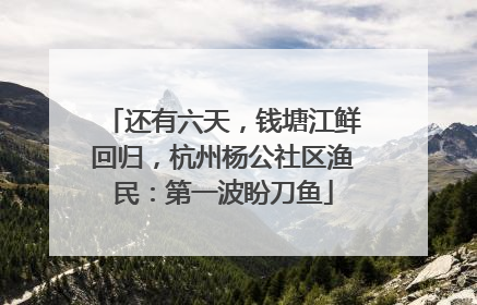 还有六天，钱塘江鲜回归，杭州杨公社区渔民：第一波盼刀鱼